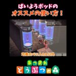 正しく使えてますか？【あつ森】【ハピパラ】#shorts