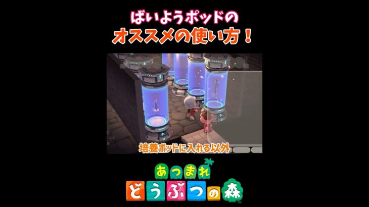 正しく使えてますか？【あつ森】【ハピパラ】#shorts