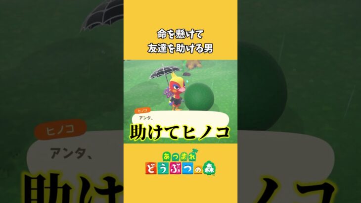【あつ森】俺のことは誰も助けてくれない… #shorts
