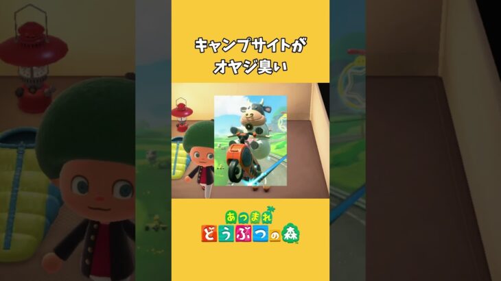 【あつ森】オッサンしか来ないキャンプサイト #shorts