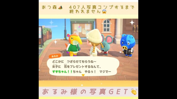 【あつ森🏕️】写真コンプするまで終われません😱#shorts