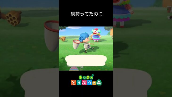 【あつ森】網持ってたのに　#shorts