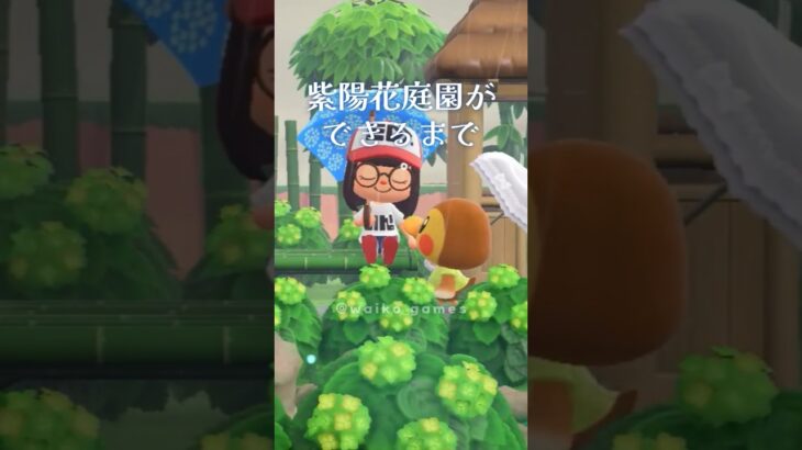 紫陽花庭園ができるまで #あつ森 #島クリエイト #あつ森レイアウト  #shorts