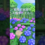 紫陽花庭園をお散歩してみた #あつ森 #島クリエイト #あつ森レイアウト  #shorts