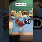 【あつ森クリップ】蜂に刺された #shorts