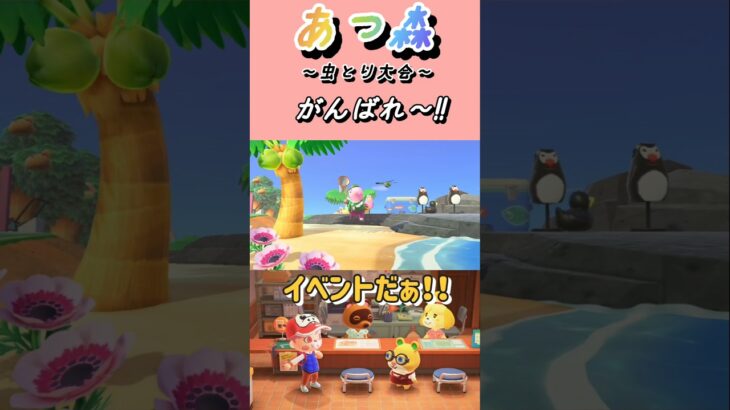 虫とり大会!!【あつまれどうぶつの森】#あつ森 #あつまれどうぶつの森 #shorts