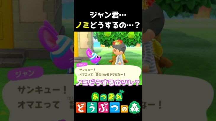【 #あつ森 】ジャン君…ノミどうするの…？　 #shorts #あつまれどうぶつの森  #切り抜き #ゲーム実況 #ゲーム #けいとかんな劇場 #animalcrossing