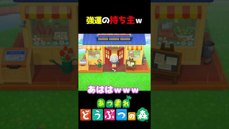 【 #あつ森 】強運の持ち主ｗ　 #shorts #あつまれどうぶつの森  #切り抜き #ゲーム実況 #ゲーム #けいとかんな劇場 #animalcrossing