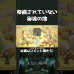 【あつ森】整備されていない秘境の地【ハピパラ】#shorts  #あつ森 #あつまれどうぶつの森#ハピパラ  #animalcrossingnewhorizons#animalcrossing