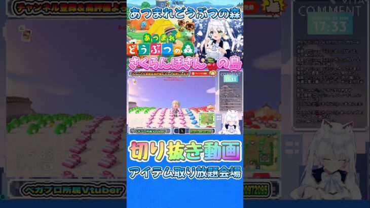 【あつまれどうぶつ森】おいでよ島名物！アイテム取り放題会場！超お得な◯◯な激レアアイテムとは？#あつまれどうぶつの森 #あつ森 #shortvideo