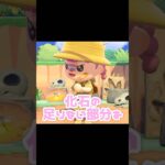 博物館の化石コーナーを完成させたい…？！？！#あつ森 #どうぶつの森 #あつまれどうぶつの森 #どう森 #shortvideo #shorts #short#あつ森化石