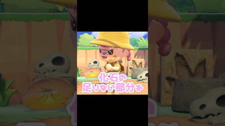 博物館の化石コーナーを完成させたい…？！？！#あつ森 #どうぶつの森 #あつまれどうぶつの森 #どう森 #shortvideo #shorts #short#あつ森化石