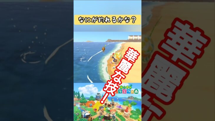 【#あつ森】カレイなさおさばき！【#switch 】