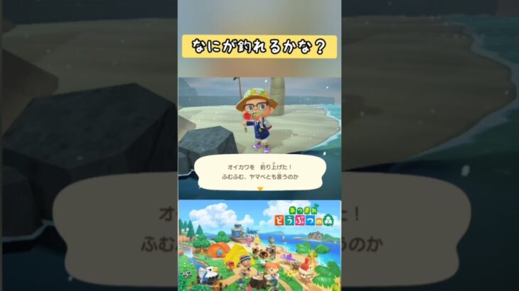 【#あつ森】オイカワなので？ヤマベなの？【#switch 】