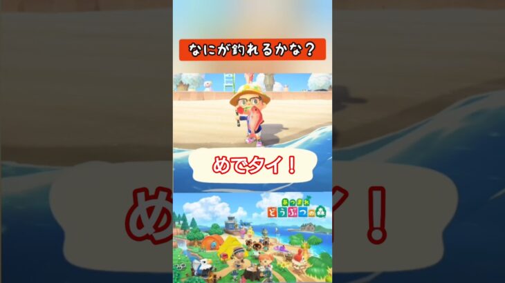 【#あつ森】めでタイ！【#switch 】