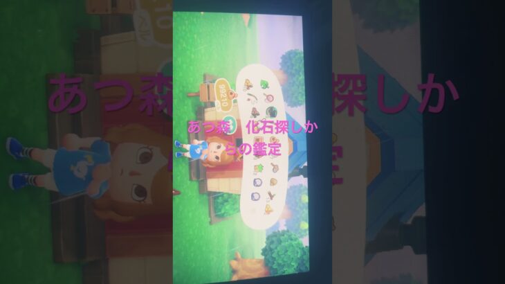 あつ森　博物館を建てる為にフータに頼まれて化石や虫類など集めて作業#あつ森switch