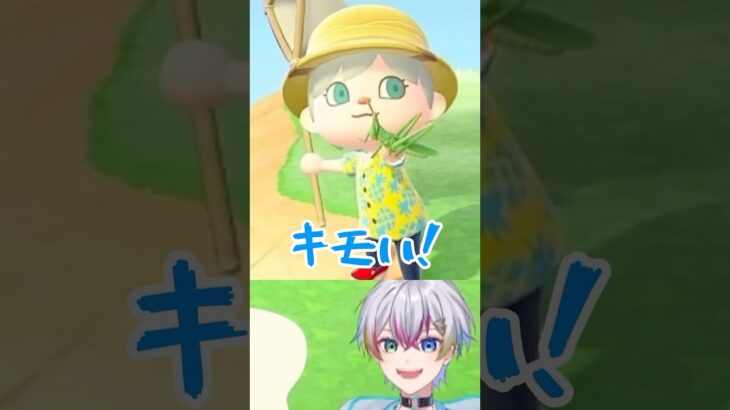バッタ #れるくん切り抜き #すたぽら切り抜き #あつまれどうぶつの森 #あつ森 #初心者 #switch #ゲーム配信 #ゲーム実況 #shorts #nintendo #games