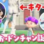 【あつ森】ドンチャンとやさおの誕生日を祝おうライブ【あつまれどうぶつの森】#switch2