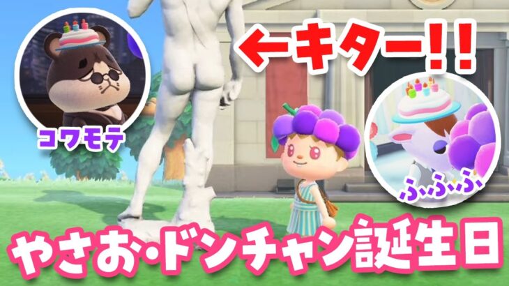 【あつ森】ドンチャンとやさおの誕生日を祝おうライブ【あつまれどうぶつの森】#switch2