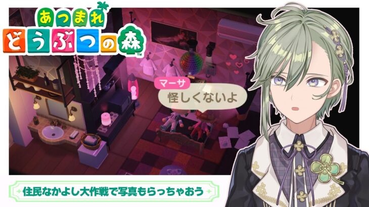【あつまれどうぶつの森 /朝配信】switch2であつ森プレイ！！！住民と仲良くなって写真もらっちゃうぞ【 男の子Vtuber 苗芽なる / 初見歓迎 】