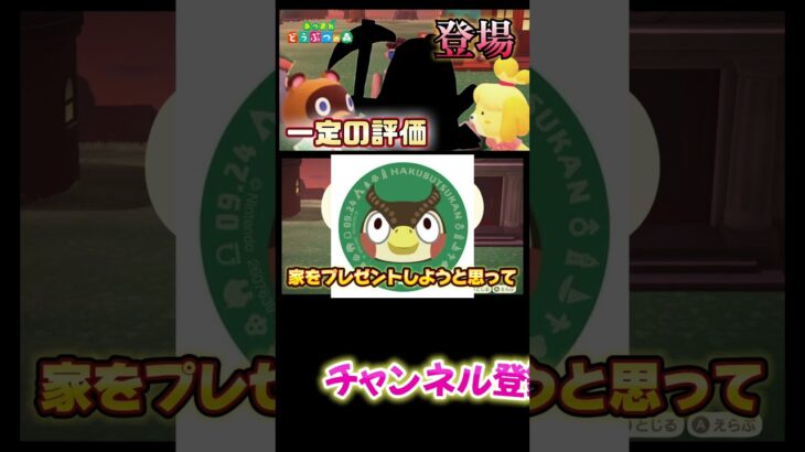 博物館勤務のフータに家をプレゼント！#あつまれどうぶつの森 #あつ森 #どうぶつの森 #ゲーム実況 #ゲーム