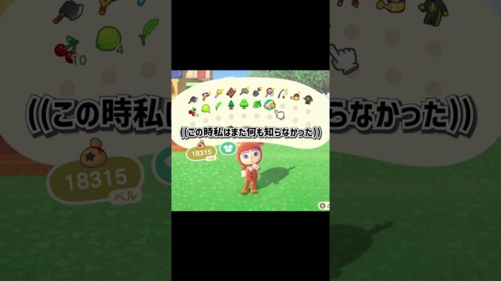 誕生日プレゼントでまさかの…【あつ森】