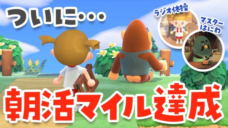 【あつ森】ついにラジオ体操とハトの巣マイルをゲット！朝活ルーティン【あつまれどうぶつの森】