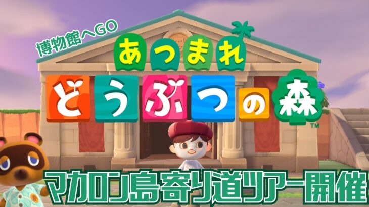 【あつ森】寄り道ツアー博物館編【あつまれどうぶつの森】【島紹介】