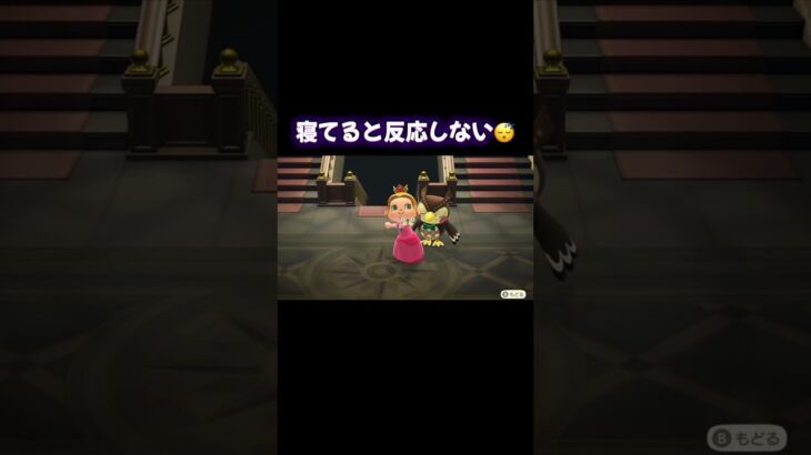 #あつ森 #あつまれどうぶつの森 #博物館