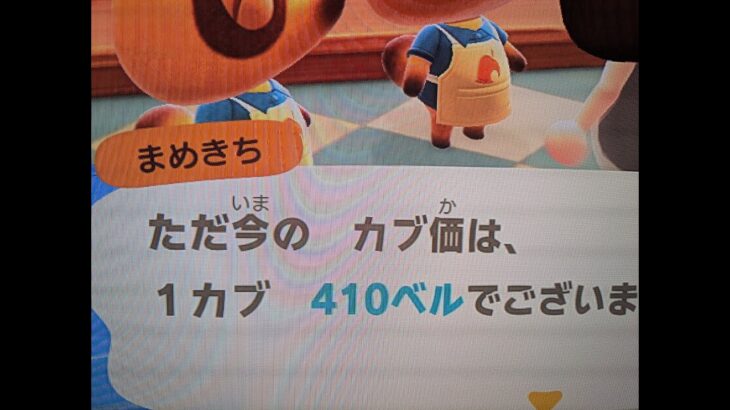 【あつ森】カブ４１０島開放中！誰でも自由に来てください！