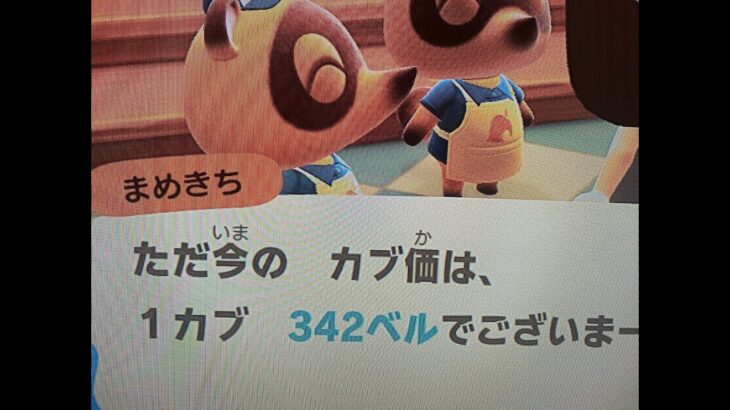 【あつ森】カブ３４２島開放中！誰でも自由に来てください！