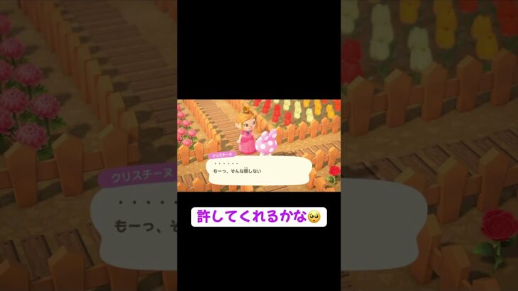 #あつ森 #あつまれどうぶつの森