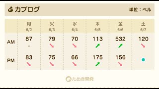 【あつ森】カブ５３２島開放中！誰でも自由に来てください！