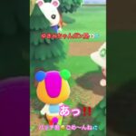 【あつ森】ノミが‼️😱💦ごめんね💧