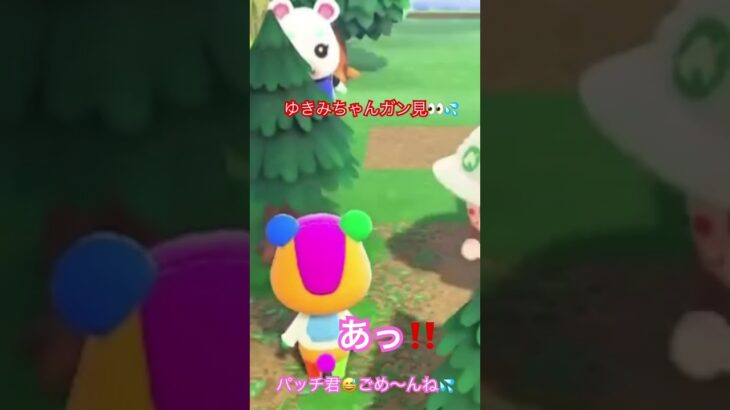 【あつ森】ノミが‼️😱💦ごめんね💧
