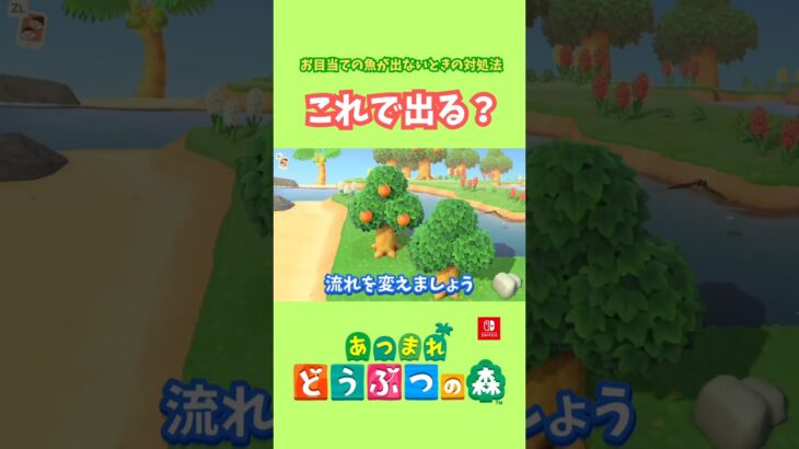 お目当てのサカナが出ないときはコレ？【あつ森】