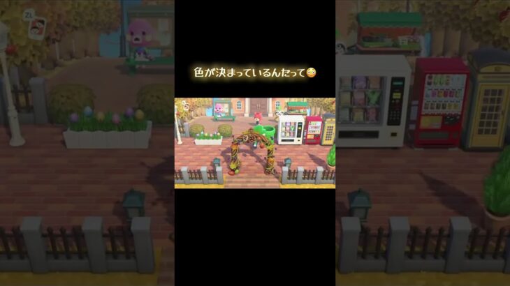 #あつ森 #あつまれどうぶつの森