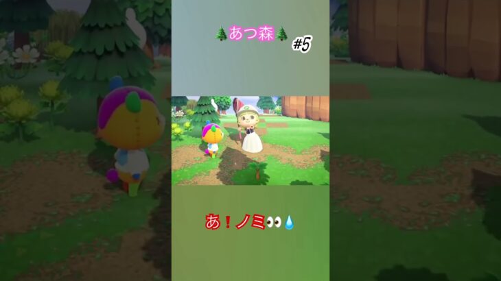 【#あつ森 】【#あつまれどうぶつの森 #あつ森島クリエイター #とたけけ#ゲーム】🌲サブ島🏝️島クリ中に邪魔されるʅ（◞‿◟）ʃ💧