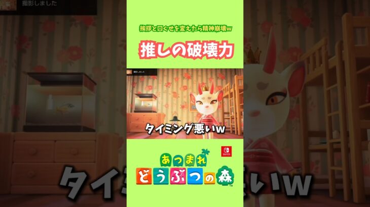 推しにこんなこと言われたら…キュンです。【あつ森】