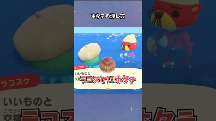 【あつ森】ラコスケとホタテの謎🤔 #あつ森  #あつまれどうぶつの森  #女性ゲーム実況