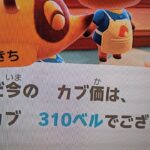【あつ森】カブ３１０島開放中！誰でも自由に来てください！