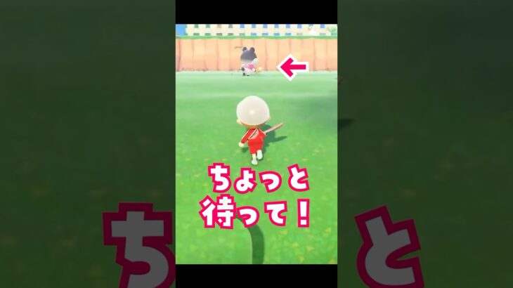 【あつ森】ソフトクリームを落とさずに食べれるのか？ #あつ森 #あつまれどうぶつの森