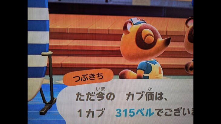 【あつ森】カブ３１５島開放中！誰でも自由に来てください！