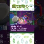 皿ではなく… #あつ森 #ハッケミィ