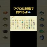 #あつ森 #あつまれどうぶつの森 #魚釣り