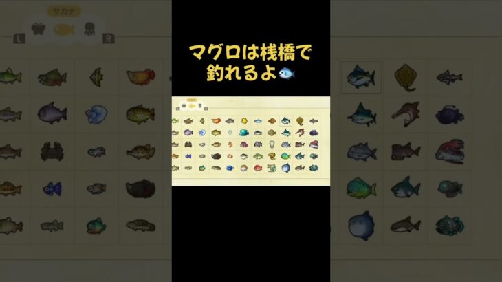 #あつ森 #あつまれどうぶつの森 #魚釣り