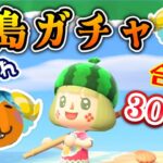 【あつ森】離島ガチャ！ターゲットみぞれちゃん★合計３００連【メイン島】