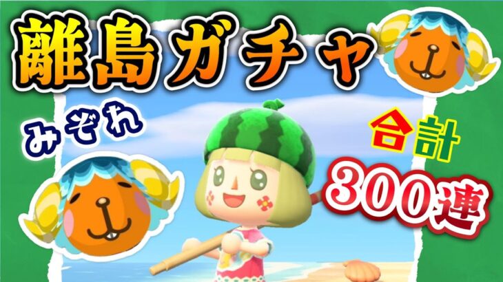 【あつ森】離島ガチャ！ターゲットみぞれちゃん★合計３００連【メイン島】