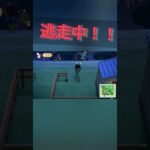 突然の鬼ごっこ！！＃あつまれどうぶつの森＃あつ森
