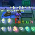 【あつもり】しれっとあつ森【魚か虫か】